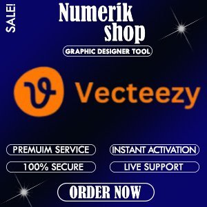 Veectzy